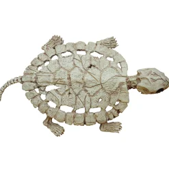 Turtle Skeleton Decoration