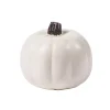White Craft Pumpkin