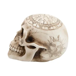 Withchcraft Skull Halloween Decoration
