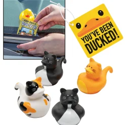 You'Ve Been Ducked Cat Kit For 12